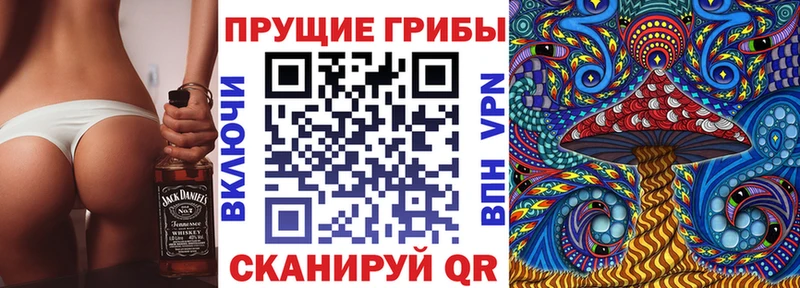 Псилоцибиновые грибы GOLDEN TEACHER  Верея 